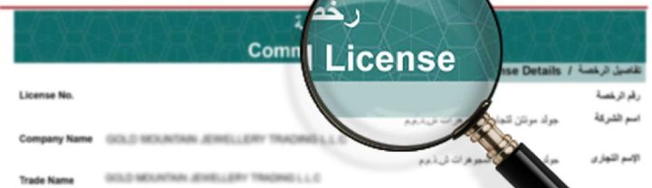 Difference between commercial and professional licenses in Dubai