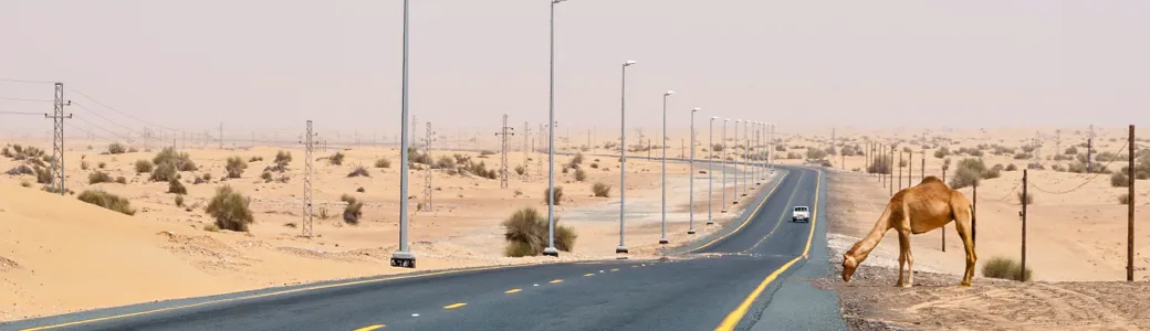 Traffic signs in the UAE