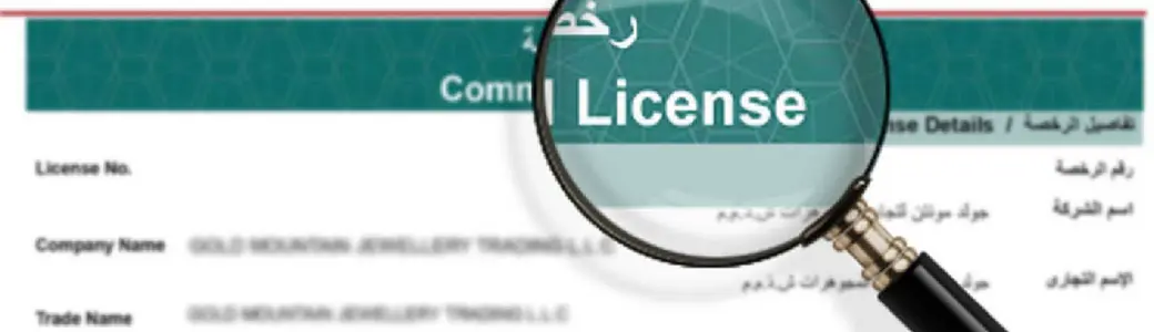 Difference between Commercial and Professional License